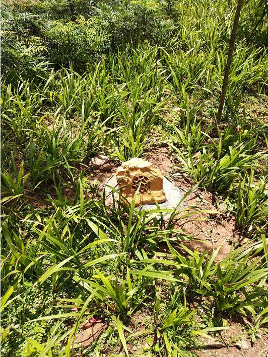 四川巴中文景園小區草坪公共廣播系統 四川巴中文景園小區草坪公共廣播系統